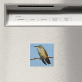 Hummingbird. Magnet (In Situ (Geschirrspüler))