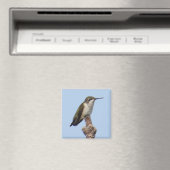 Hummingbird Magnet (In Situ (Geschirrspüler))