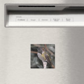 Hummingbird. Magnet (In Situ (Geschirrspüler))