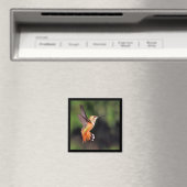 Hummingbird Magnet (In Situ (Geschirrspüler))