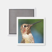 Hummingbird Magnet (Vorderseite/Rückseite)