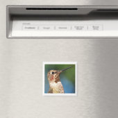 Hummingbird Magnet (In Situ (Geschirrspüler))