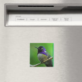 Hummingbird Magnet (In Situ (Geschirrspüler))