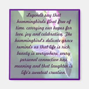 Hummingbird Magnet