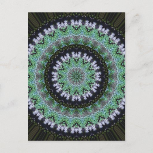 Hummingbird Mandala Postkarte (Vorderseite)