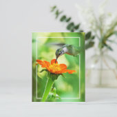 Hummingbird Meal Postkarte (Stehend Vorderseite)