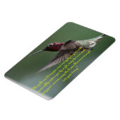 Hummingbird mit Apache-Sprichwort Magnet (Linke Seite)