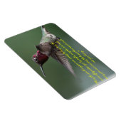 Hummingbird mit Apache-Sprichwort Magnet (Rechte Seite)