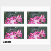 Hummingbird mit Belladonna liskotchen Rechteckiger Aufkleber (Blatt)