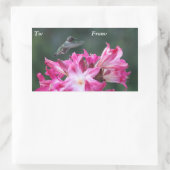 Hummingbird mit Belladonna liskotchen Rechteckiger Aufkleber (Tasche)