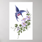 Hummingbird mit Blume 2 Print Poster (Vorne)