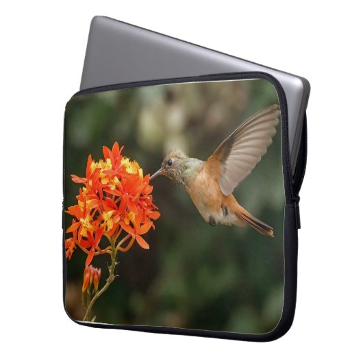 Hummingbird mit Blume-Elektronik-Tasche Laptopschutzhülle (Vorderseite Links)