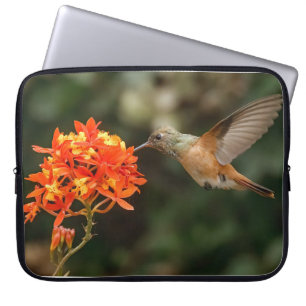 Hummingbird mit Blume-Elektronik-Tasche Laptopschutzhülle