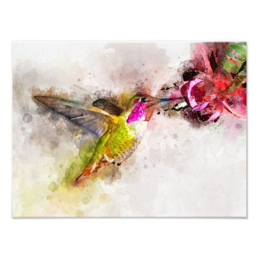 Hummingbird mit Blume Wasserfarbe - 04 Fotodruck (Vorne)