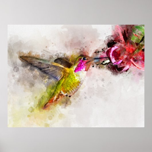 Hummingbird mit Blume Wasserfarbe - 04 Poster (Vorne)