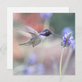 Hummingbird mit Lavender I Dankeskarte (Vorne/Hinten)