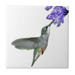 Hummingbird mit Mona Lavender Fliese