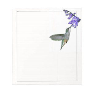 Hummingbird mit Mona Lavender Notizblock