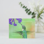 Hummingbird mit Mona Lavender Postkarte (Stehend Vorderseite)