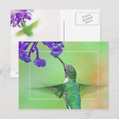 Hummingbird mit Mona Lavender Postkarte (Vorne/Hinten)