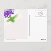 Hummingbird mit Mona Lavender Postkarte (Rückseite)