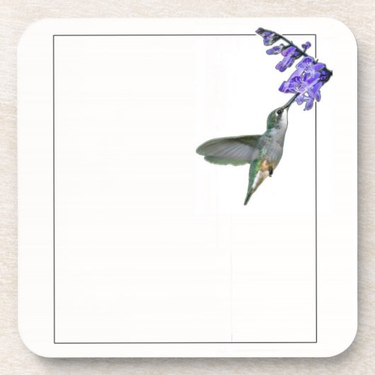 Hummingbird mit Mona Lavender Untersetzer (Vorderseite)