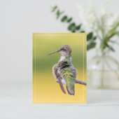Hummingbird mit Warnhinweis Postkarte (Stehend Vorderseite)
