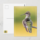 Hummingbird mit Warnhinweis Postkarte (Vorne/Hinten)