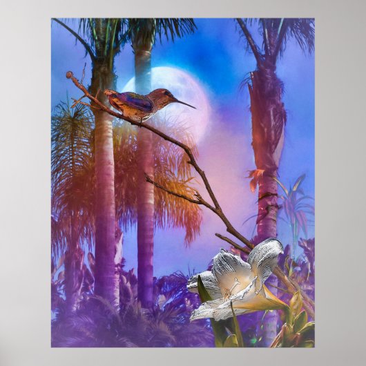 HUMMINGBIRD MOONLIGHT OASIS POSTER (Vorne)