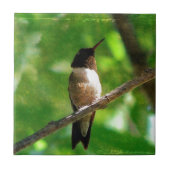 Hummingbird Morning Fliese (Vorderseite)