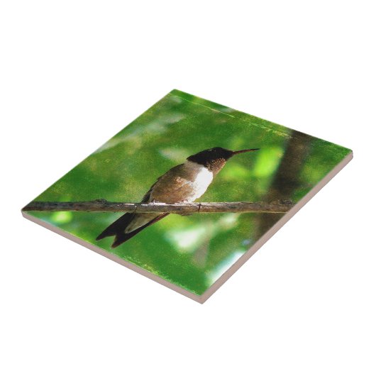 Hummingbird Morning Fliese (Seite)