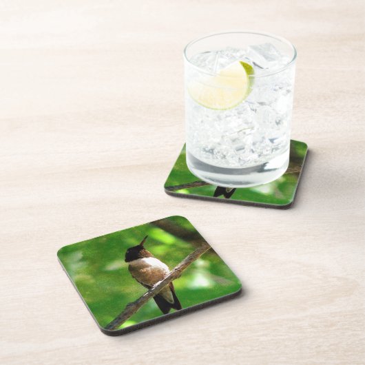 Hummingbird Morning Getränkeuntersetzer (Rechte Seite)