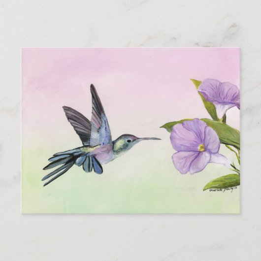 Hummingbird "Morning Gloriage" - Vogelgeschichte Postkarte (Vorderseite)