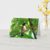 Hummingbird Morning Karte (Gelbe Blume)