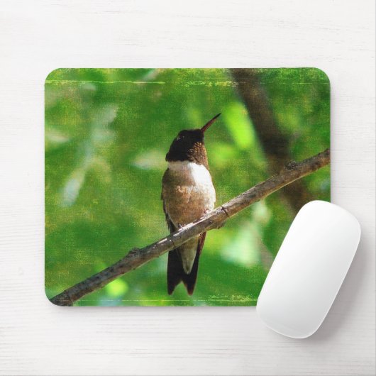 Hummingbird Morning Mousepad (Mit Mouse)