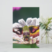 Hummingbird Moth Briefpapier (Stehend Vorderseite)