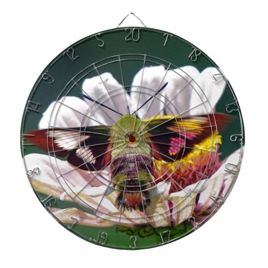 Hummingbird Moth Dartscheibe (vorne)