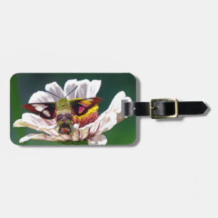 Hummingbird Moth Gepäckanhänger