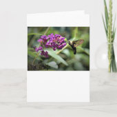 Hummingbird Moth, Karte (Vorderseite)