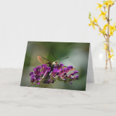 Hummingbird Moth, Karte (Gelbe Blume)