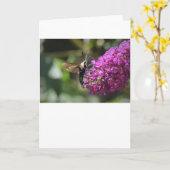 Hummingbird Moth, Karte (Gelbe Blume)