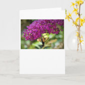 Hummingbird Moth, Karte (Gelbe Blume)
