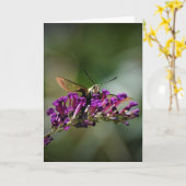 Hummingbird Moth, Karte (Gelbe Blume)