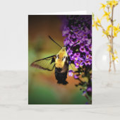 Hummingbird Moth, Karte (Gelbe Blume)