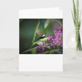 Hummingbird Moth, Karte (Vorderseite)