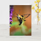 Hummingbird Moth, Karte (Gelbe Blume)