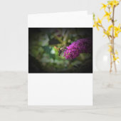 Hummingbird Moth, Karte (Gelbe Blume)