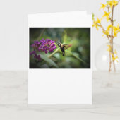 Hummingbird Moth, Karte (Gelbe Blume)