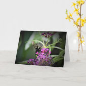 Hummingbird Moth, Karte (Gelbe Blume)