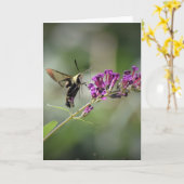 Hummingbird Moth, Karte (Gelbe Blume)